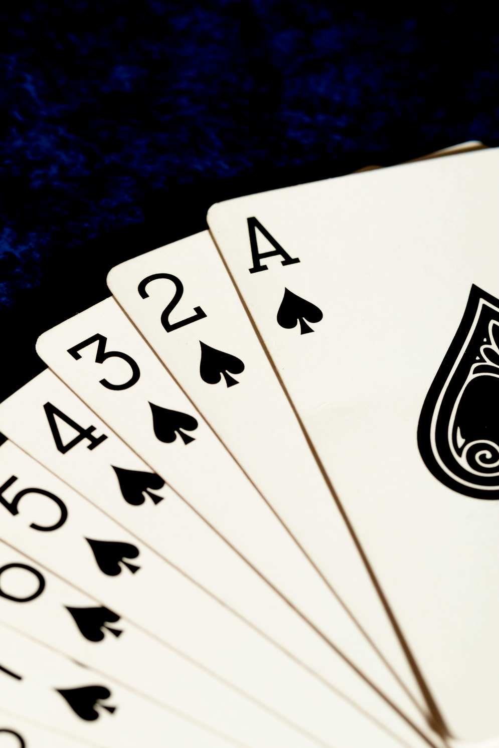 Royal Planet Casino Bonuses vs Competitor: Who Offers More?